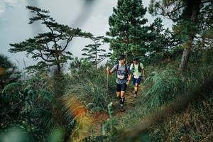 BIB: 
                            <button type="button" onclick="openModal(25259762)" class="btn btn-primary btn-sm float-right btn-popup" data-toggle="modal" data-target=".modal-high-quality">
                        <i class="fas fa-shopping-cart"></i> Add to Cart
                    </button>
                                            <button type="button" onclick="isThisMe(25259762, true)" class="btn btn-success btn-sm float-right btn-popup btn-isme hidden" data-toggle="tooltip" data-placement="bottom" title="นี่คือรูปของคุณใช่ไหม คลิกที่นี่เพื่อเอาเข้าอัลบั้ม">
                        <i class="fas fa-plus"></i> Add to album
                    </button>
                    <button type="button" onclick="isThisMe(25259762, false)" class="btn btn-warning btn-sm float-right btn-popup btn-isnotme hidden">
                        <i class="fas fa-ban"></i> Remove from album
                    </button>